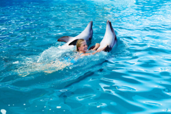 Beneficios de la delfinoterapia