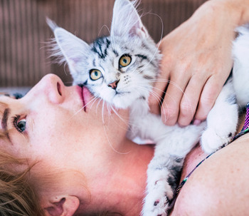 Los 5 Beneficios de tener un gato para tu salud
